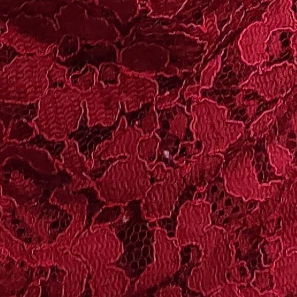 David's Bridal Red Lace Strapless Midi Dress Size 8 - Picture 6 of 6